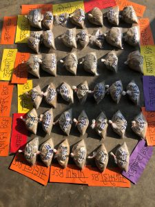 whatsapp image 2026 02 10 at 8.16.34 am